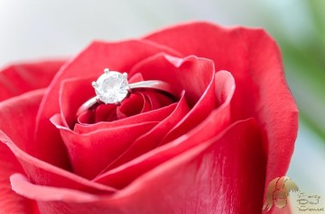 Dj Hochzeit Sachsen Anhalt