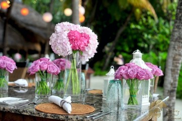 Dj Hochzeit Spreewald